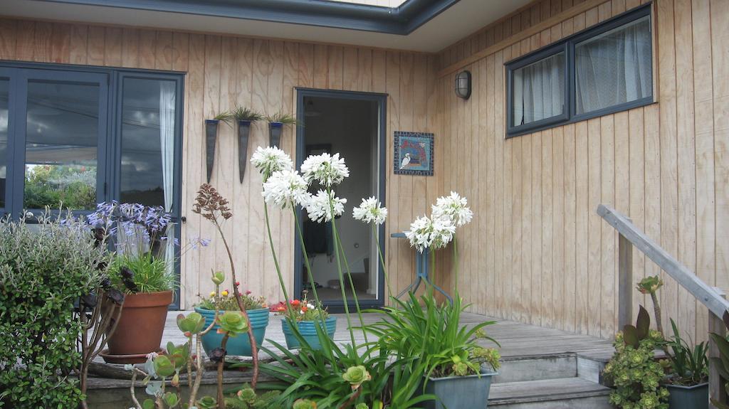 Kotuku Bed & Breakfast ฟางามาตา ภายนอก รูปภาพ